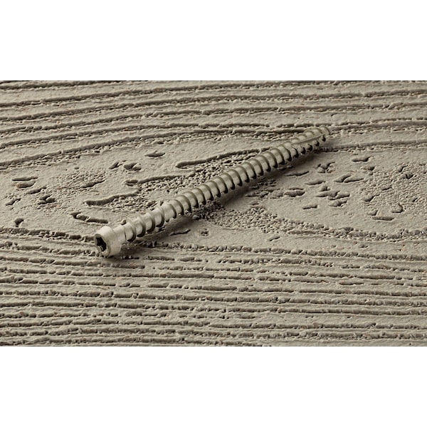 Starborn Deck Screw, #10 x 2-3/4 in, Carbon Steel, Trim Head, Torx Drive, 350 PK CXD54T10275 - main